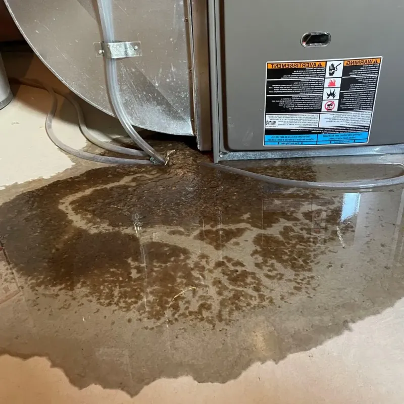 Pipe Burst and Leak Restoration in West Crossett, AR