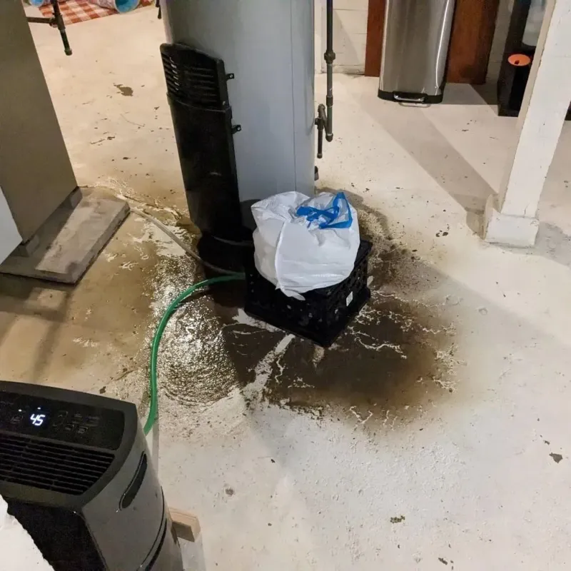 Sewage Backup Cleanup Service in West Crossett, AR